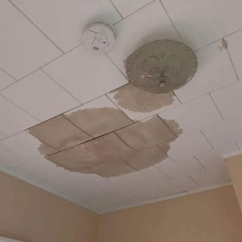 Ceiling Water Damage Repair in Saline County, KS