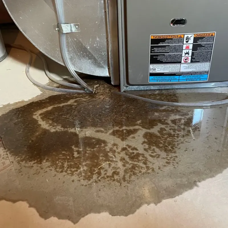 Pipe Burst and Leak Restoration in Saline County, KS