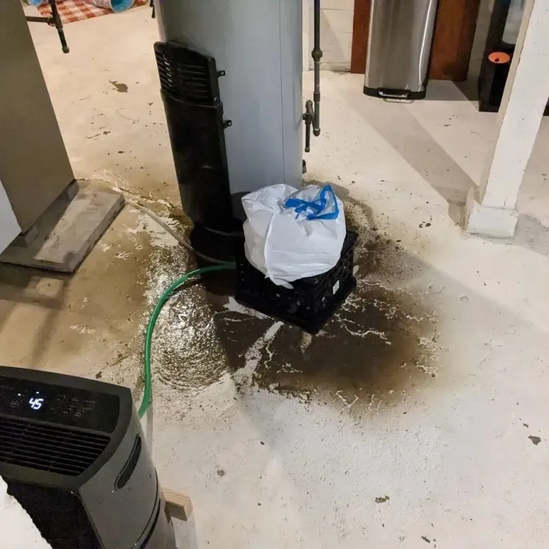 Sewage Backup Cleanup Service in Saline County, KS